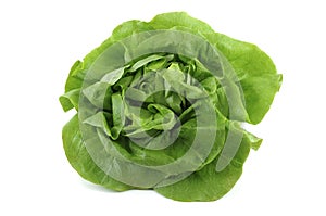 Lettuce img