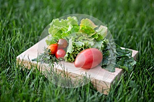 Lettuce, arugula leaves, tomatoes on a wooden plate