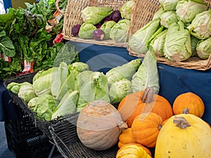Lettuce, cabbage, pumpkins and other produce on display at outdoor farmers market at stand