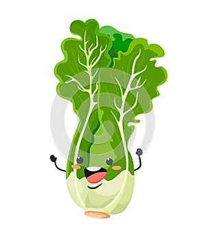 Lettuce in a cartoon style.  Fresh lettuce salad. Vector illustration on white background.