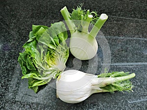 Lettuce and fennel.