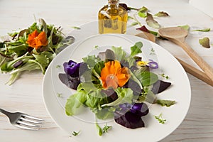 Lettuce and flower salad on woody white background spring, easter