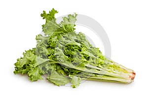 Lettuce frisee