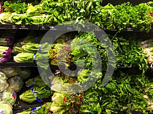 Lettuce in a grocery store produce department.