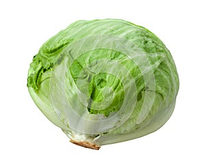 Lettuce Head Isolated on White