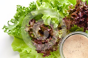 Lettuce with homemade salad dressing on white background