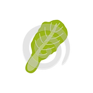 Lettuce icon. Cartoon organic vegetable. Vector healthy food salsd illustration.