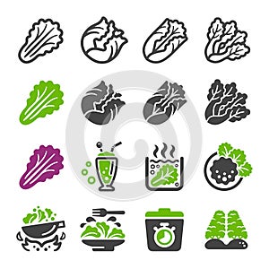 Lettuce icon set