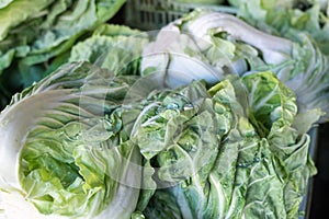 Lettuce (Lactuca sativa) for sale at Porto market (Mercado do Bolhao