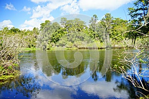 Lettuce lake