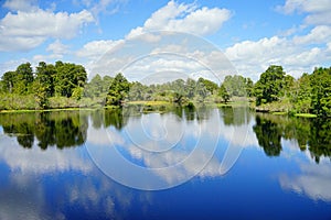 Lettuce lake park