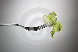 Lettuce leaf on a fork