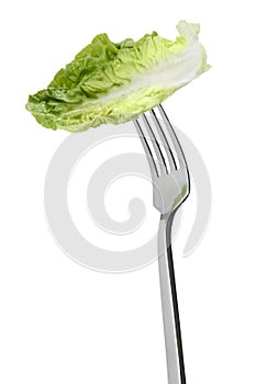 Lettuce leaf on fork