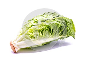 a lettuce leaf is shown on a white background with a red tip in the center of the leaf 