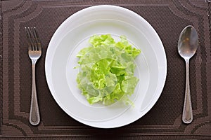Lettuce leave on a white plate. concept for healthy care