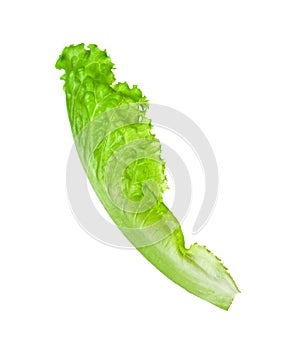 Lettuce leaves