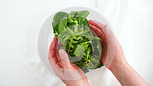 Lettuce leaves in a bowl isolated on white background. Mix fresh arugula leaves, lettuce leaves and spinach leaves for