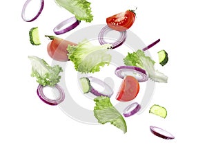 Lettuce leaves, cut cucumber and tomato falling on white