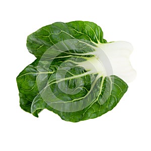 Lettuce leaves isolated on a white background