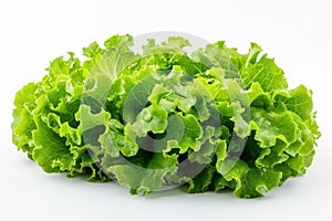 Lettuce Leaves on a White Background A close-up photograph of fresh lettuce leaves arranged neatly on a white background,