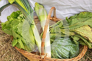 Lettuce, leek and spinach Wicker basket fresh vegetables Ingredients to prepare vegetarian meal