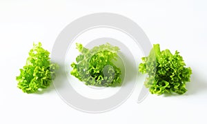 Lettuce Lollo Bionda