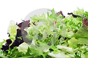 Lettuce mix