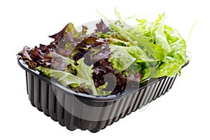 Lettuce mix