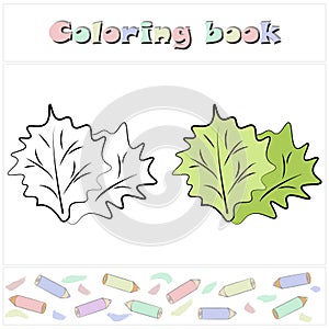 Lettuce. A page of a coloring book with a colorful vegetables and a sketch for coloring. style