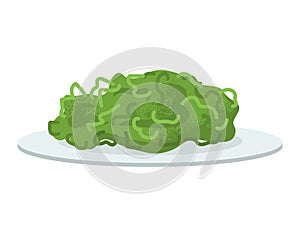 Lettuce on a plate. Fresh green salad illustration. Healthy food and vegan diet vector illustration