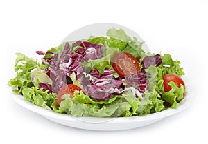 Lettuce and red cabbage salad