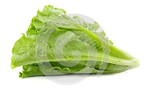 Lettuce Romain isolated on a transparent background