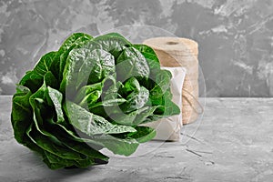 Lettuce or romano salad, salad leaves lettuce bush, green crop petals, vitamins Roman salad, Batavia menu concept. food