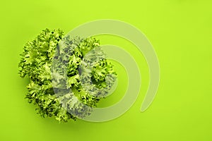 . lettuce salad on green background, top view.