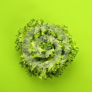 . lettuce salad on green background, top view.