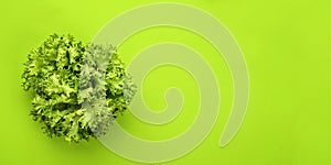 . lettuce salad on green background, top view.