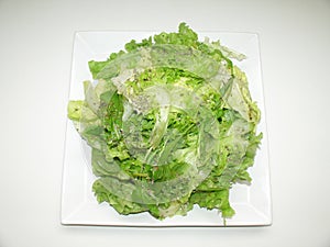 Lettuce salad healthful vitamin diet detail plate lunch Sao Paulo, Brazil