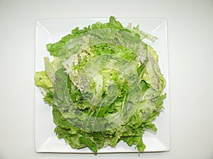 Lettuce salad healthful vitamin diet detail plate lunch Sao Paulo, Brazil