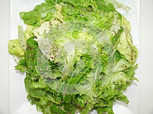 Lettuce salad healthful vitamin diet detail plate lunch Sao Paulo, Brazil