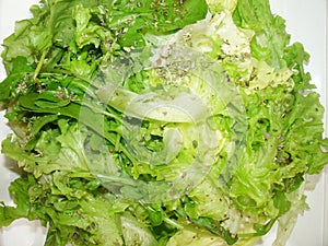 Lettuce salad healthful vitamin diet detail plate lunch Sao Paulo, Brazil