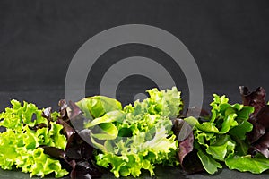 Lettuce salad leaves on stone plate, place for text