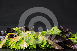 Lettuce salad leaves on stone plate, place for text