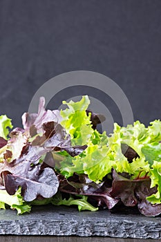 Lettuce salad leaves on stone plate, place for text