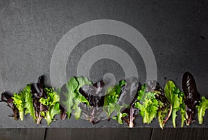 Lettuce salad leaves on textured, stone background, place for te