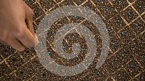 Lettuce seed cultive hand