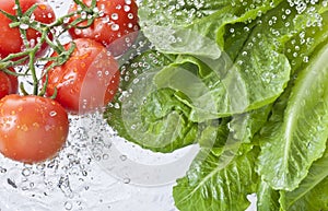 Lettuce Tomatoes Water Spray Food