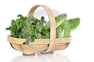 Lettuce Varieties in Rustic Basket