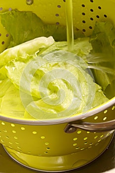 Lettuce washing colander