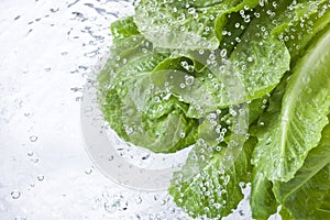 Washing Lettuce Leafy Water Spray Drops photo