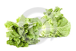 Lettuce on white